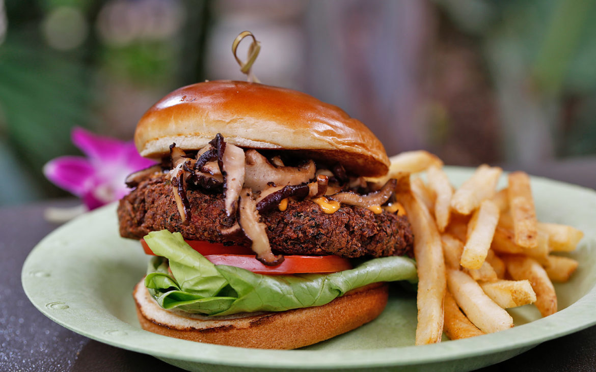 Quinoa Edamame Burger from Universal's Volcano Bay