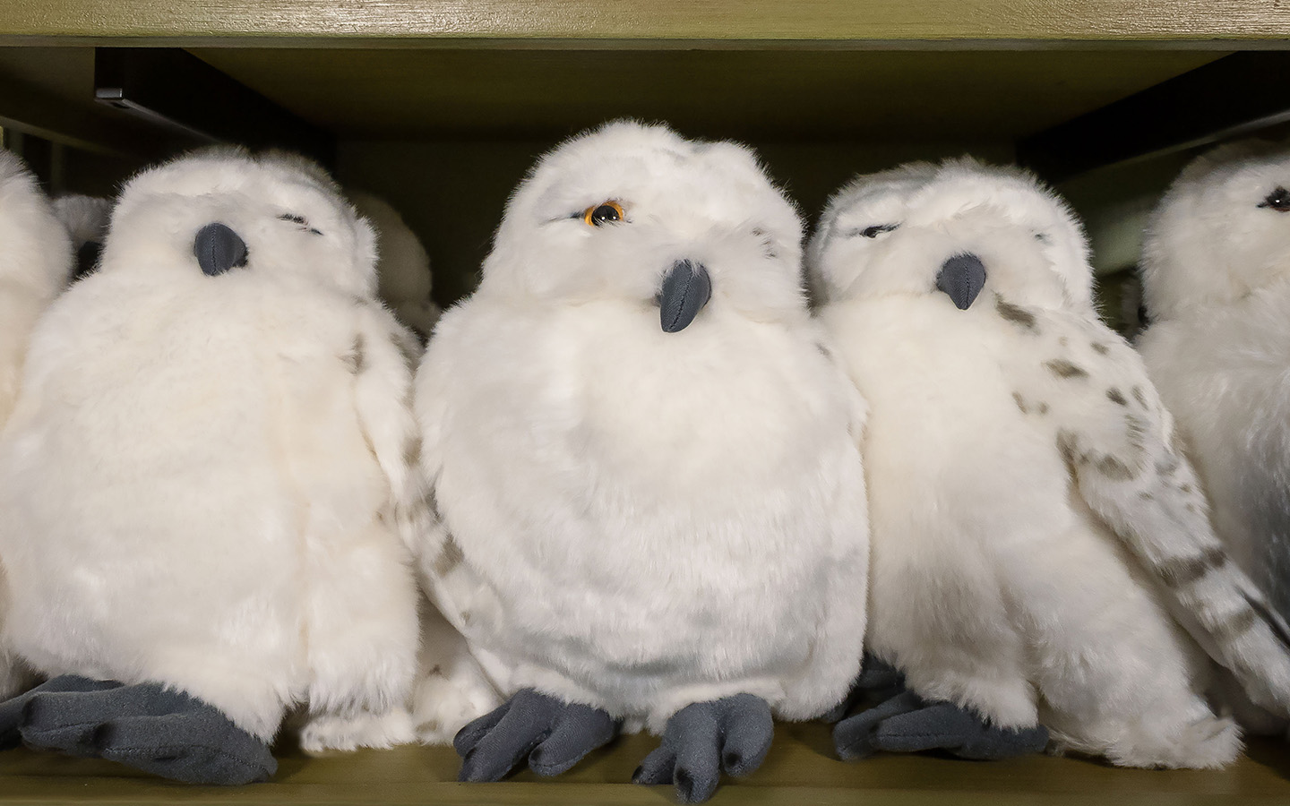 Owl Plushes from The Wizarding World of Harry Potter
