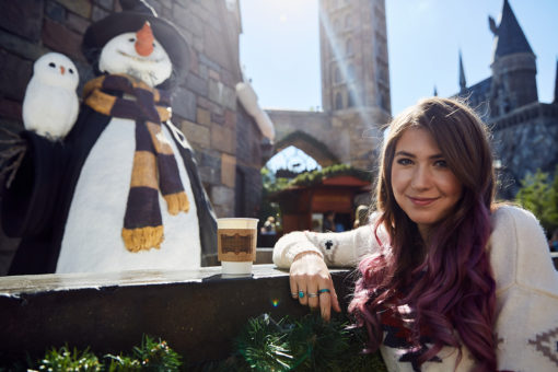 Christmas in The Wizarding World of Harry Potter - Katelyn Darrow
