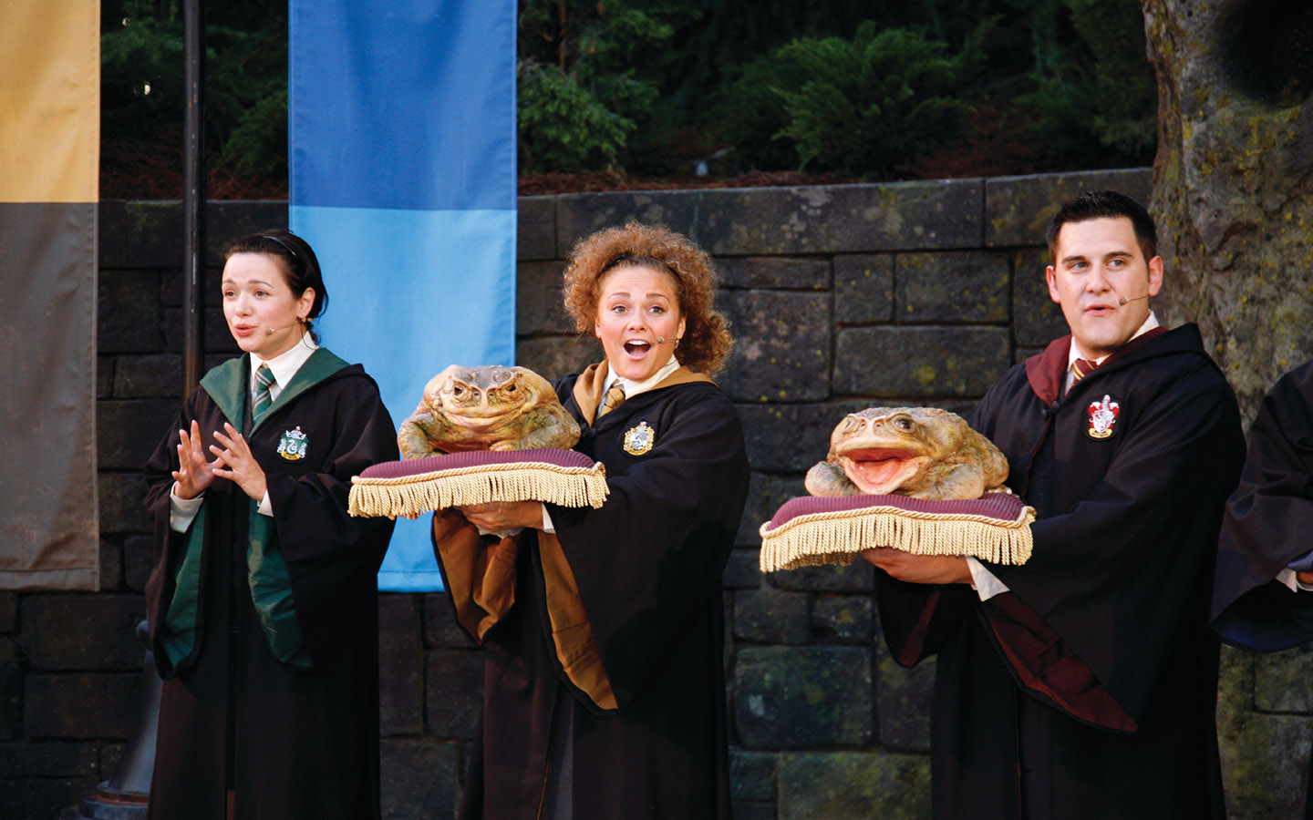 Hogwarts Frog Choir in The Wizarding World of Harry Potter