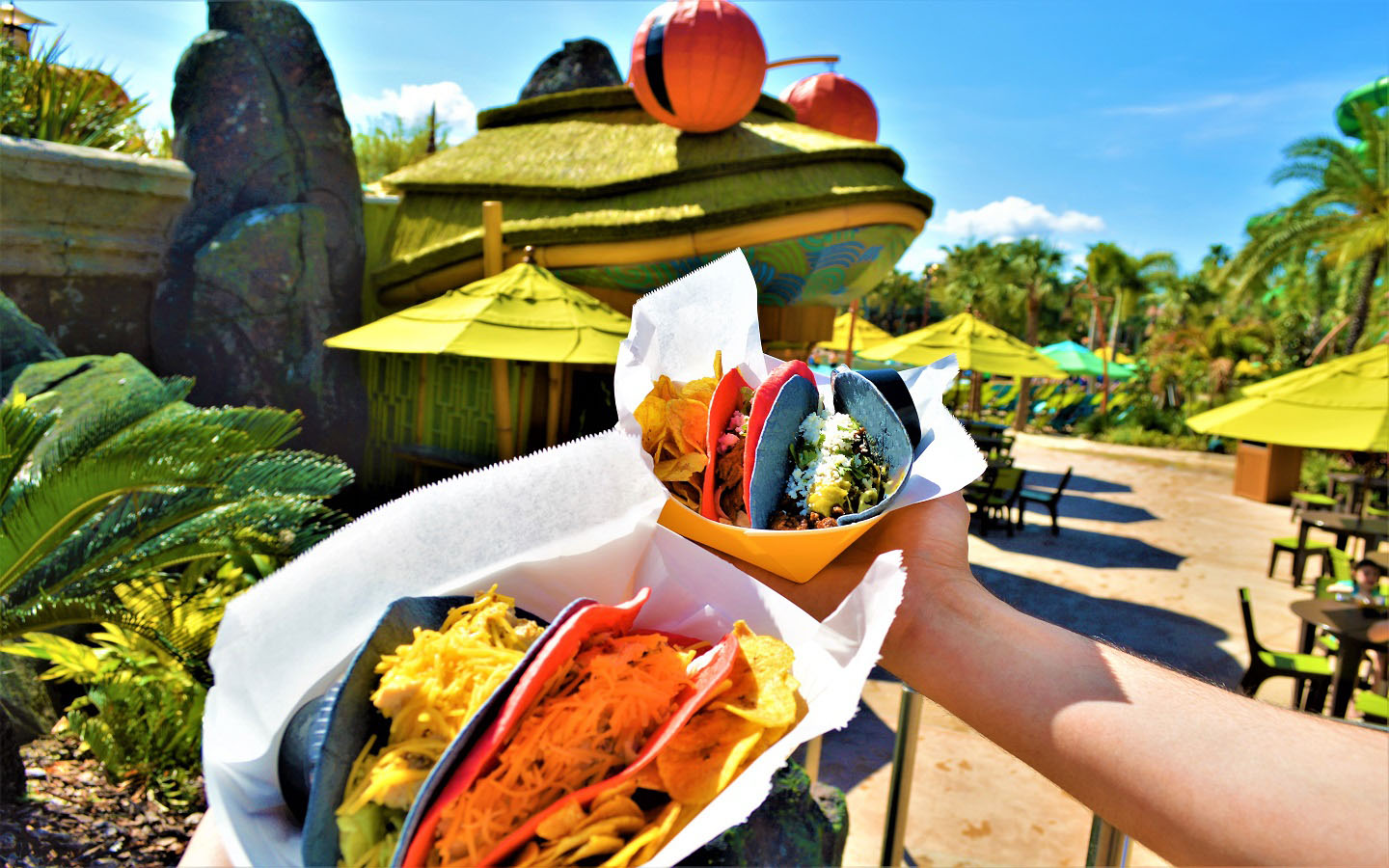 Chicken and Steak Tacos - Volcano Bay Feasting Frog