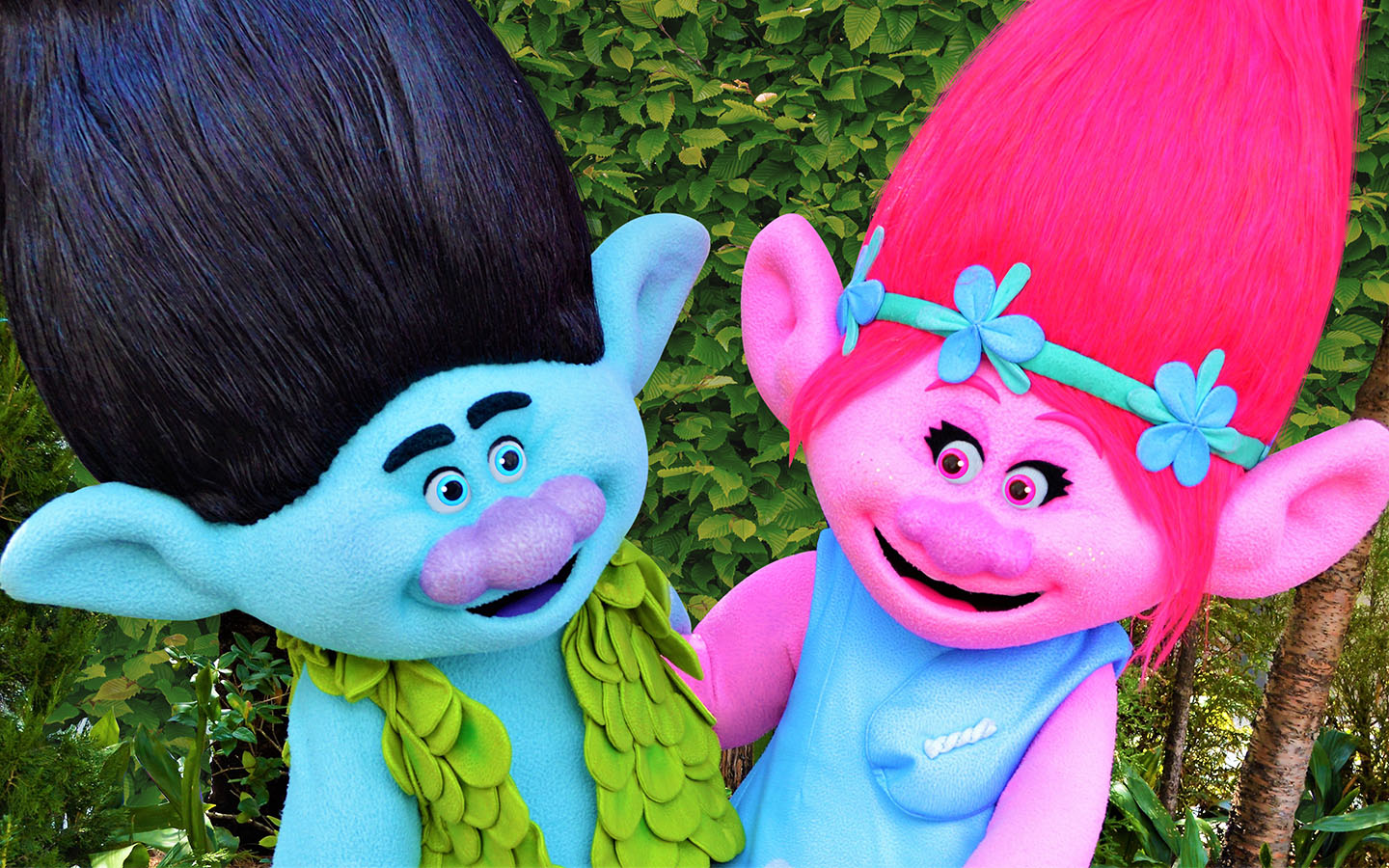 Branch and Poppy from Trolls at Universal Studios Florida