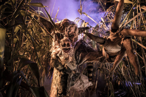 Pro Tips for Experiencing Universal Orlando's Halloween Horror Nights