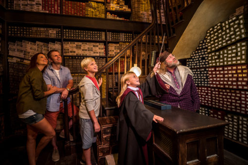 Ollivanders Wand Ceremony