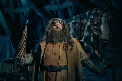 Universal Orlando Resort's Most Life-Like Animated Figure - Hagrid