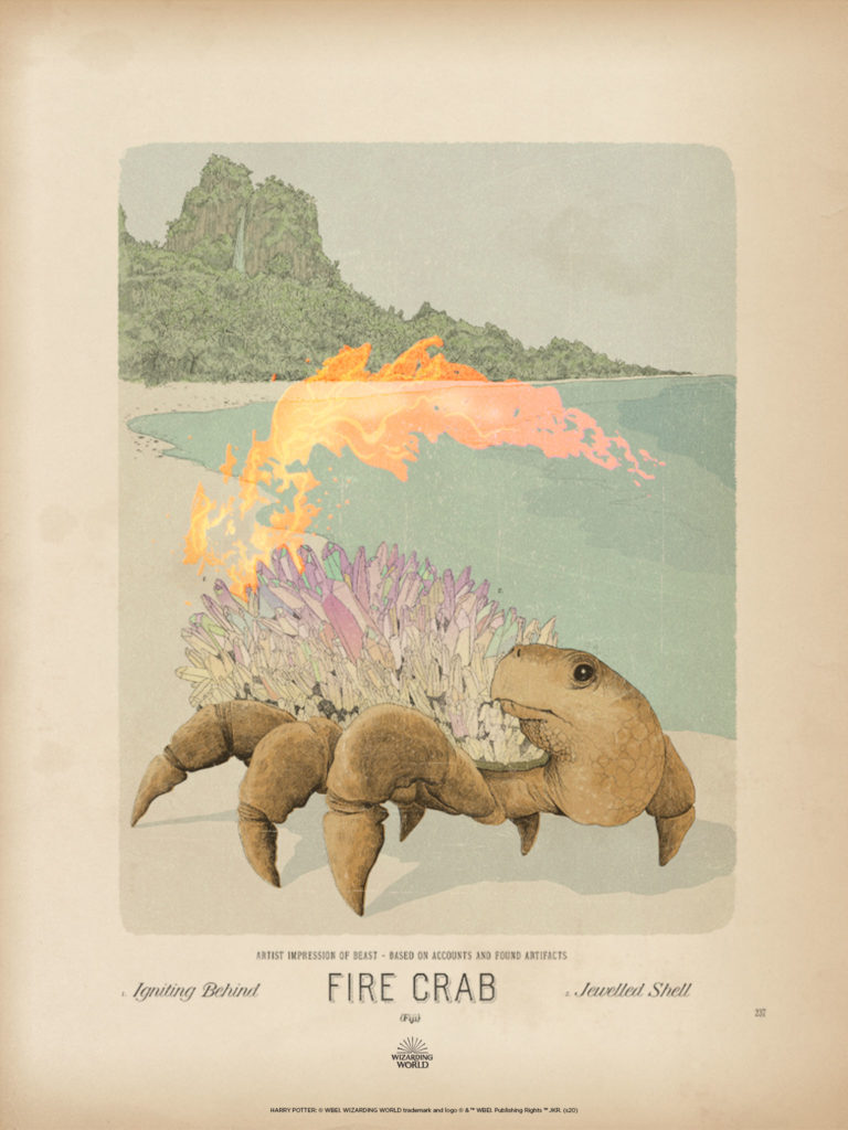 Fire Crab Wallpaper_iPad