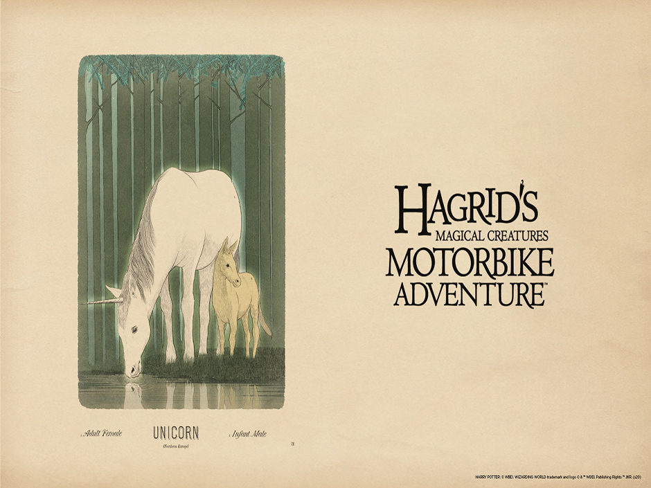 Hagrid's Magical Creatures Motorbike Adventure Wallpapers