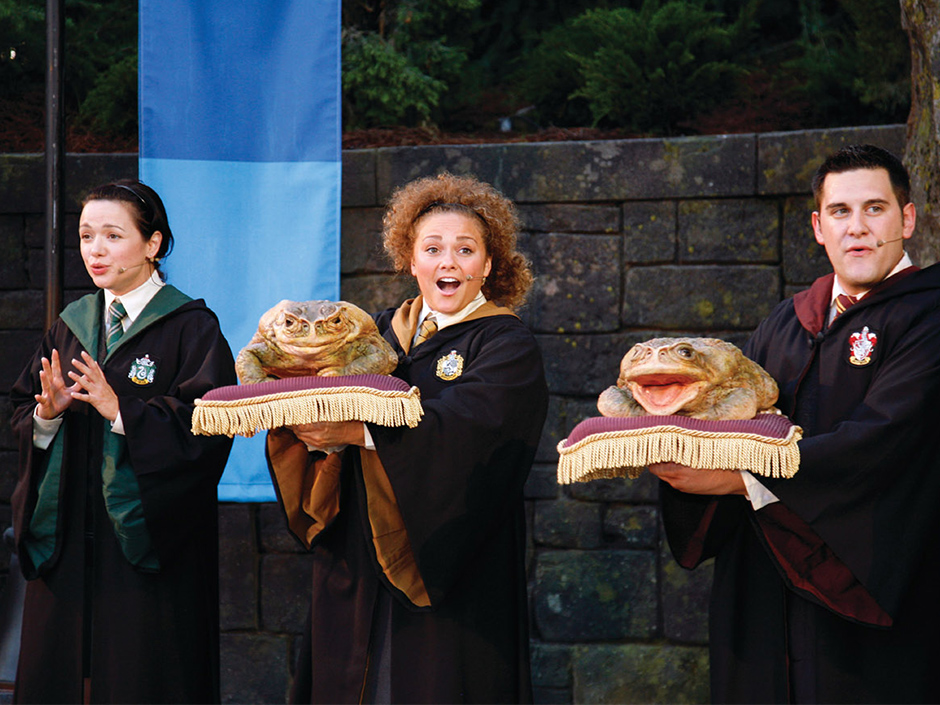 Frog Choir Wizarding World of Harry Potter