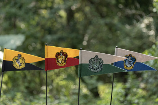 A Slytherin's Guide to The Wizarding World of Harry Potter