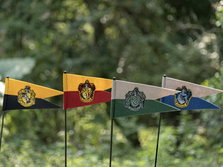 A Slytherin's Guide to The Wizarding World of Harry Potter