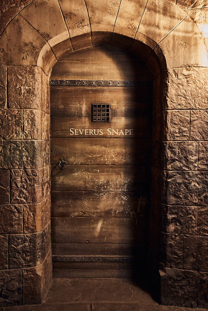 Professor Severus Snape's Door in the Harry Potter and the Forbidden Journey