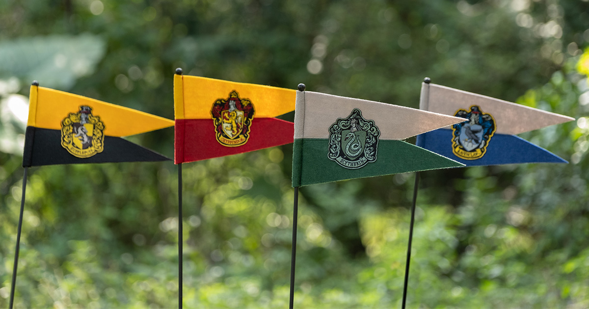 A Slytherin’s Guide to The Wizarding World of Harry Potter