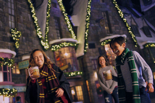 Christmas in The Wizarding World of Harry Potter - Hogsmeade