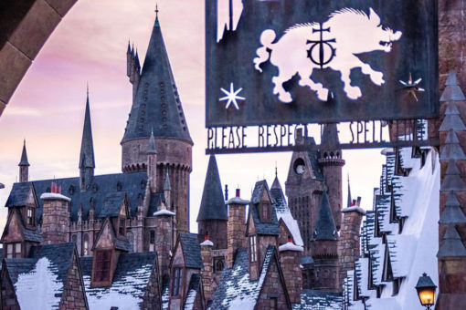 The Wizarding World of Harry Potter - Hogsmeade - nicmessina1