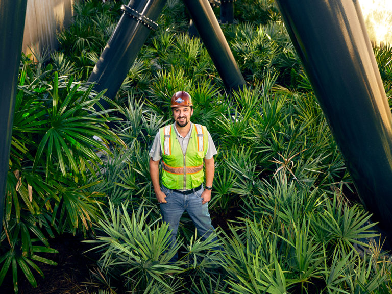 Behind the Hunt Plant Life In Jurassic Park Discover Universal