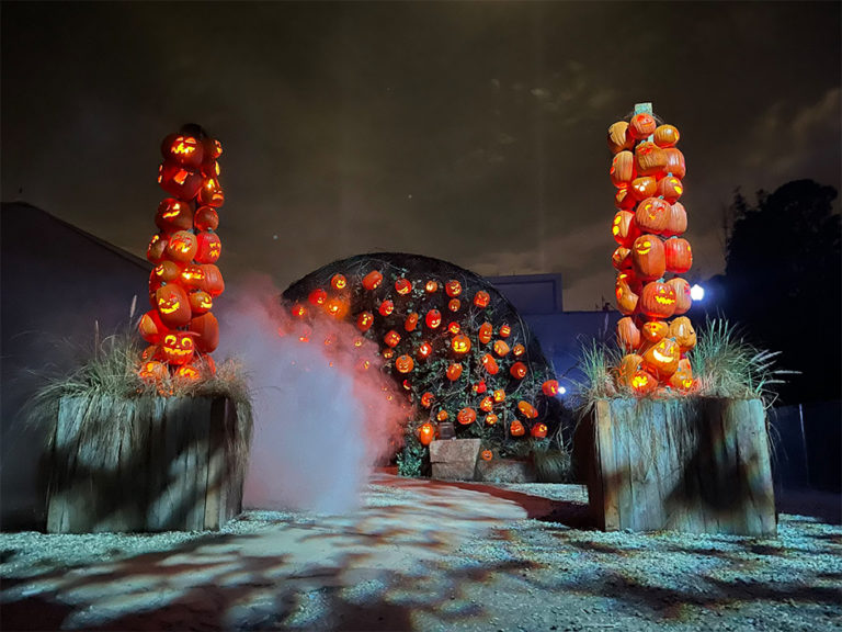 BehindtheScreams The Wicked Growth Realm of the Pumpkin at