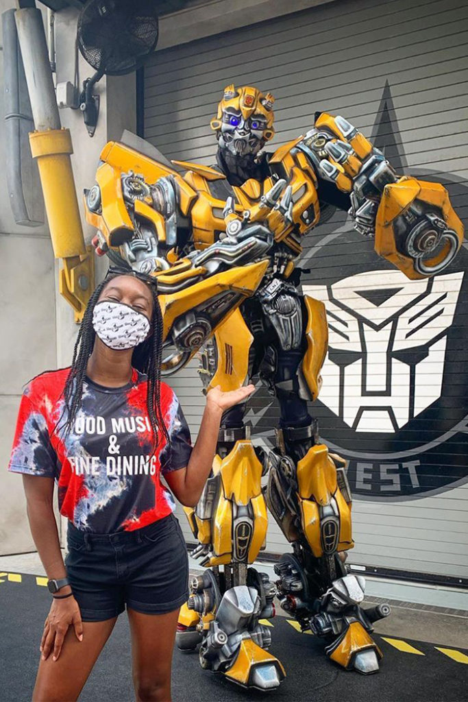 Guest and Bumblebee Transformers
