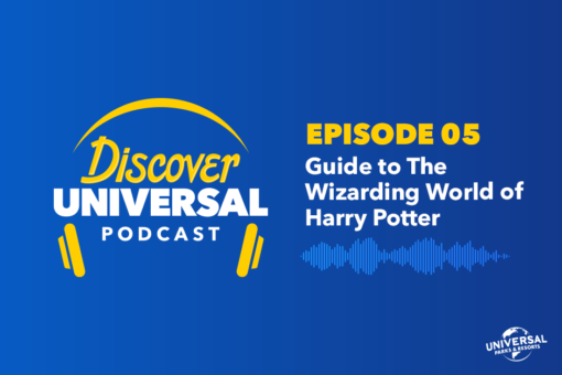EP 5: Guide to The Wizarding World of Harry Potter at Universal Orlando Resort