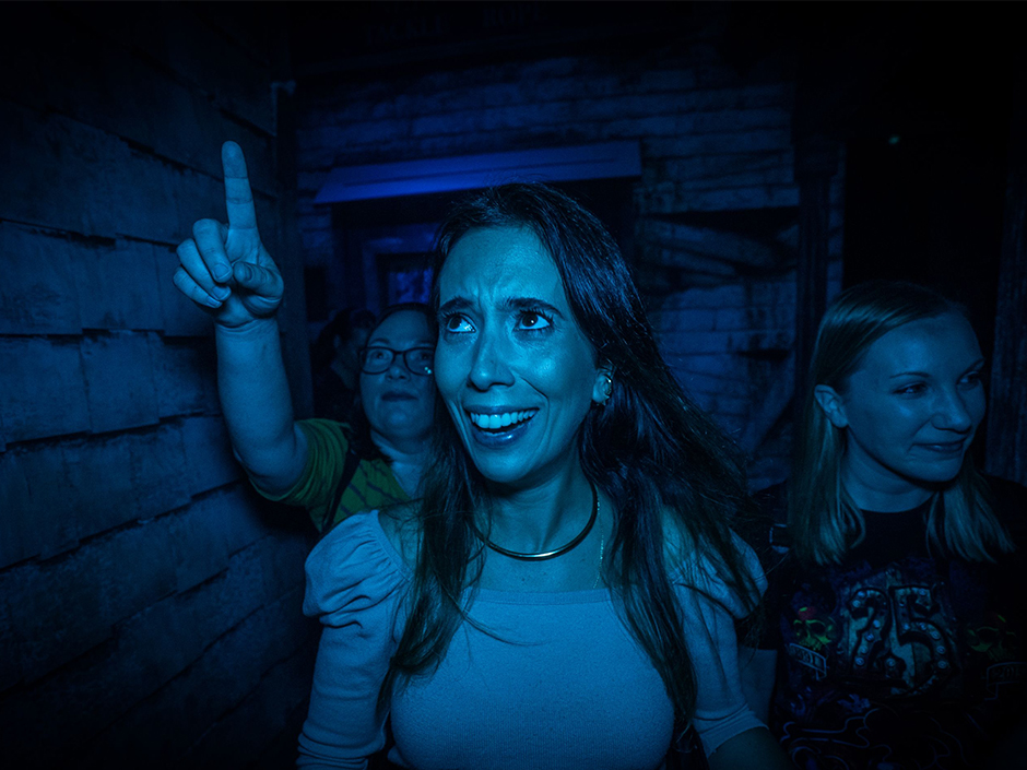 Haunted House Scares HHN31