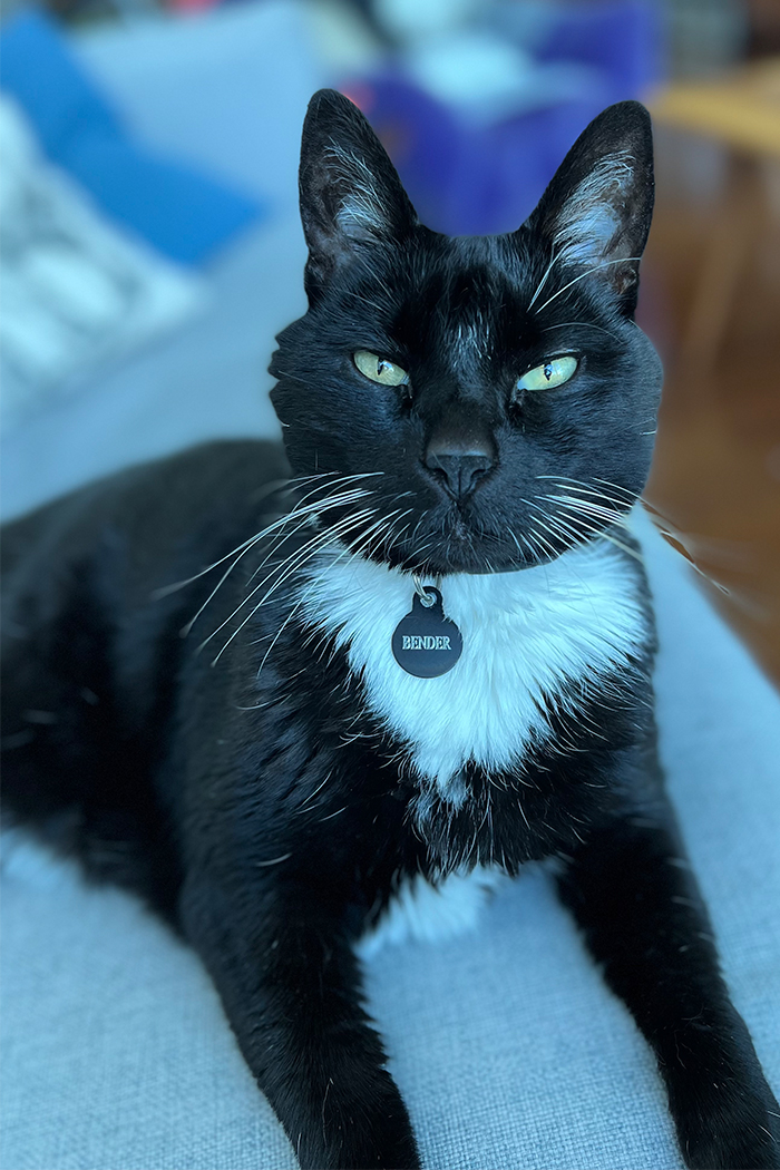 VIDEO Ride Guys Revenge of the Mummy