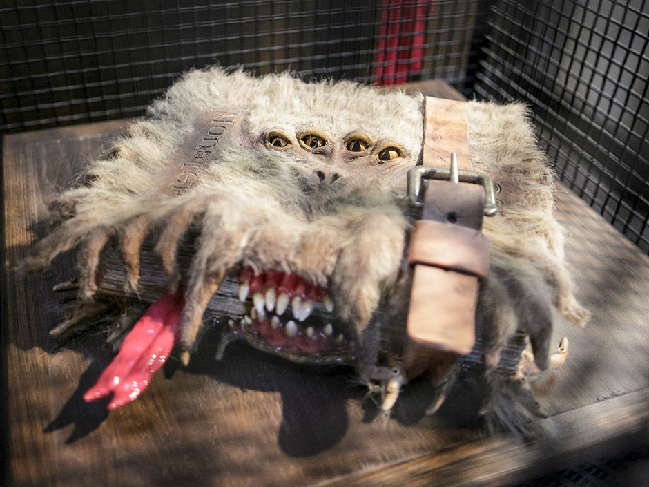 The Monster Book of Monsters, which has four eyes and sharp teeth.