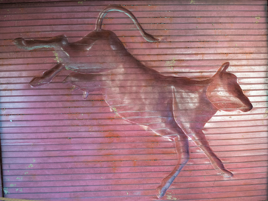 An imprint of a cow on a metal door