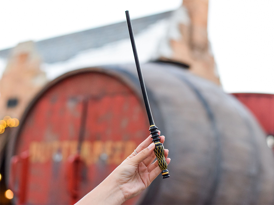 A Harry Potter wand from Ollivanders