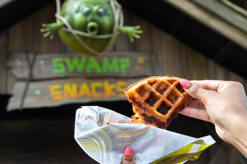 A hand holding up a Far Far A Waffle in front of Swamp Snacks