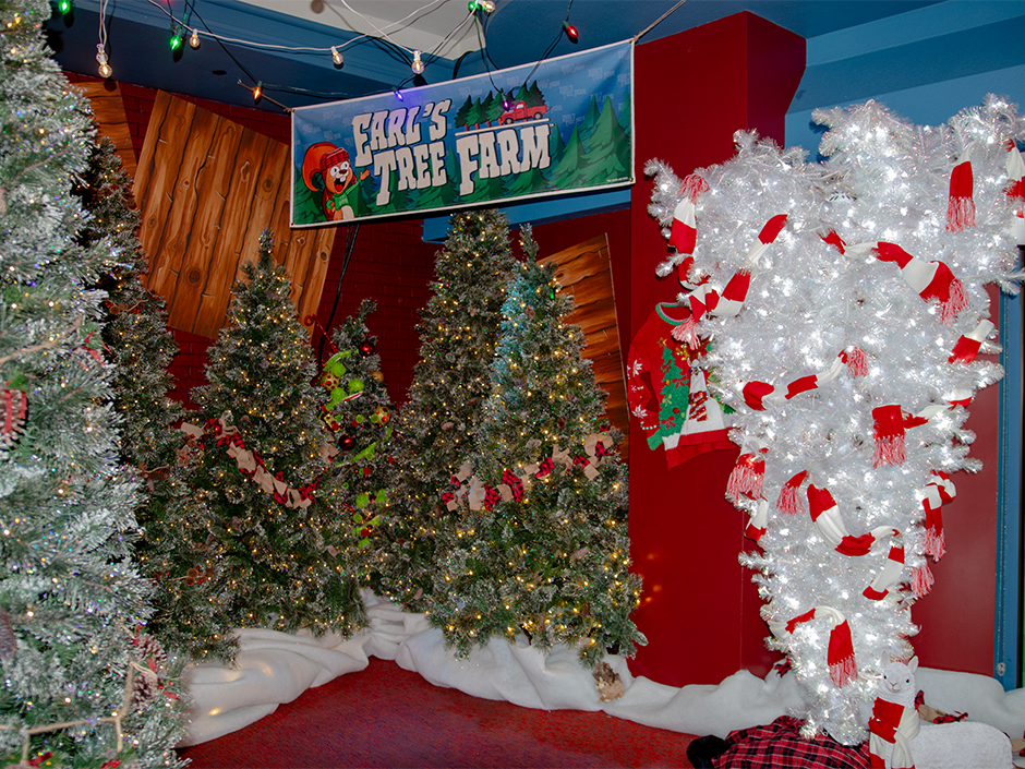 An indoor forest of festively decorated Christmas trees at Earl's Tree Farm in Green & Red Coconut Club.