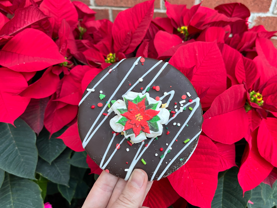 A chocolate cookie with a poinsettia in the middle.