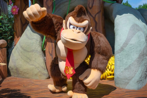 Donkey Kong raises his fist in the sky triumphantly