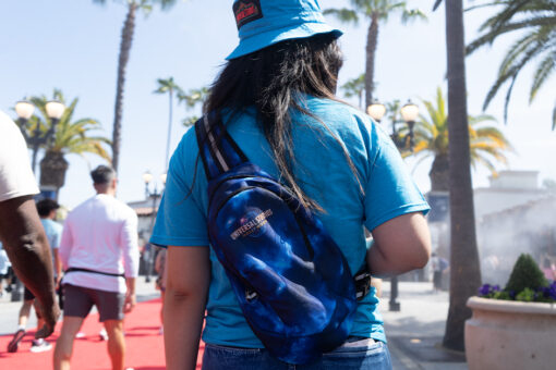 The back of a person in a Universal hat and wearing a Universal backpack in front of Universal Studios Hollywood