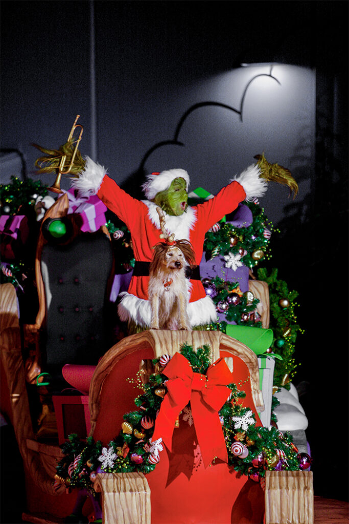 The Grinch and his trusty dog Max riding on a sleigh full of Christmas presents during The Grinchmas Who-liday Spectacular.