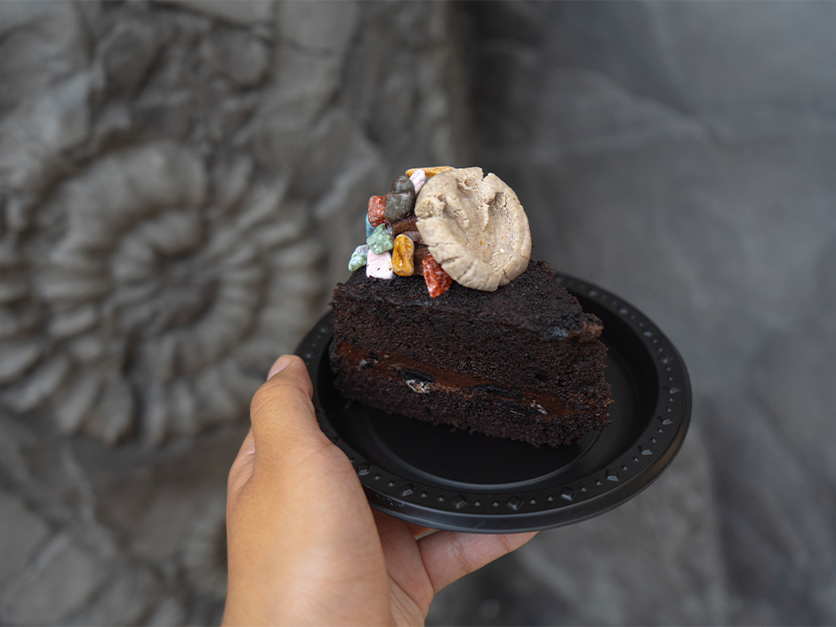 Chocolate Cake from Jurassic Cafe at Universal Studios Hollywood.