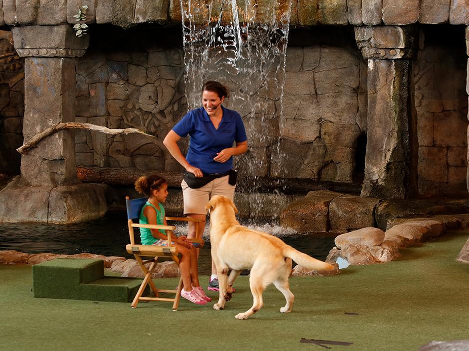 A young guest sits on stage while an animal trainer and dog approach her during Animal Actors on Location at Universal Studios Florida