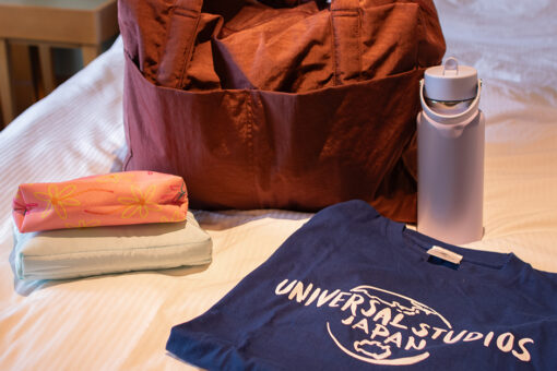 A bag and a handful of items (shirt, water bottle, smaller bags) sitting on a bed.