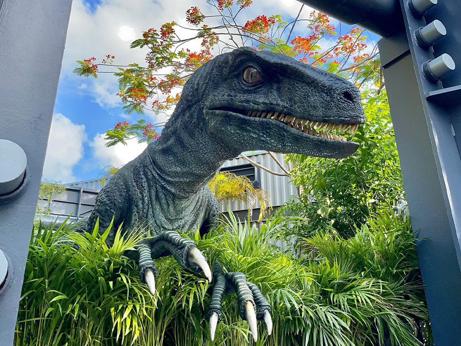 Blue pokes her head through the foliage at Raptor Encounter in Universal Islands of Adventure