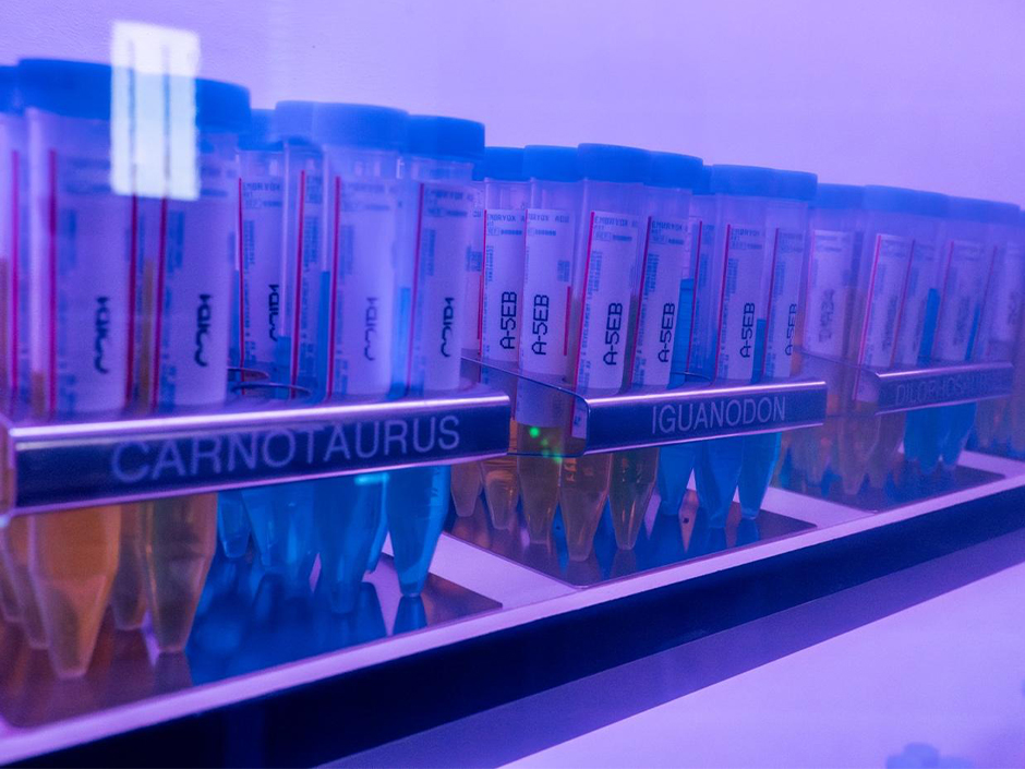 Vials of dinosaur DNA props in Universal's Great Movie Escape