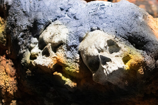 Skulls in the rock work inside Ozzy Osbourne: Prince of Darkness at Halloween Horror Nights